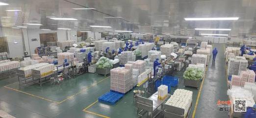 孟州市大定街道 踔厲奮發新征程，勇毅前行著華章——食品生產高質量發展之路