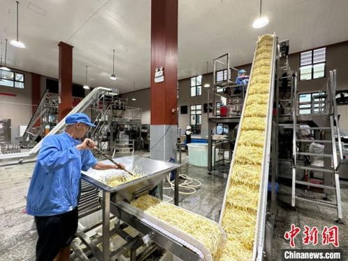 小竹筍闖出大世界 江西樂安做優做強竹筍產業，鋪就鄉村致富路