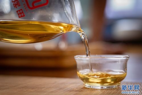 萬(wàn)千氣象看云南 | 鳳慶春茶開采，茶香四溢的夏秋滋味